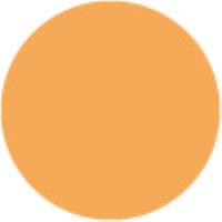 Neon Orange 324 