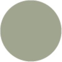 Grayish Green Pale G242*