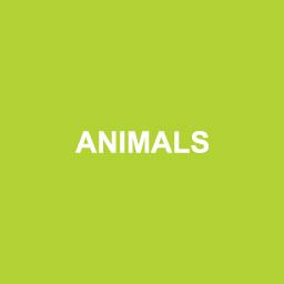 Animals