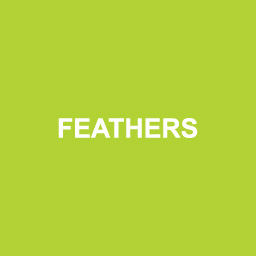 Feathers