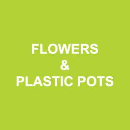 Flowers & Plastic Pots