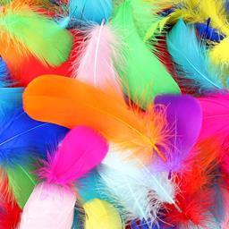 Feathers