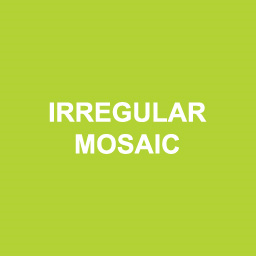 Irregular Mosaic