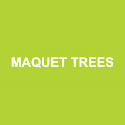 Maquet Trees