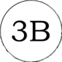 3B