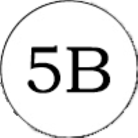 5B