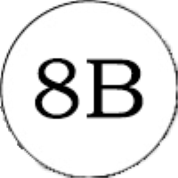 8B