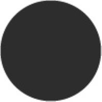 Metallic Black