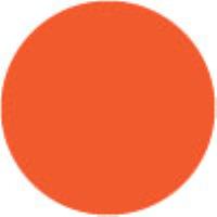 Cadmium Orange Hue