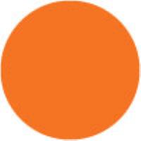 Cadmium Orange Light Hue