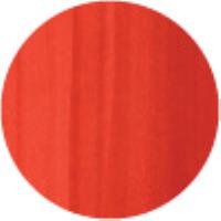 Lipstick Orange R17