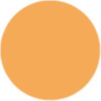 Neon Orange 324 