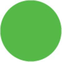 168 Earth Green Yellowish