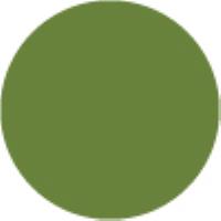 Spanish Olive