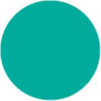 Turquoise 498