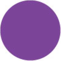 Daytona Violet