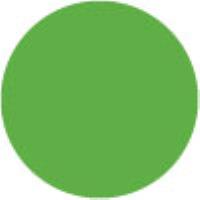 Light Green 463
