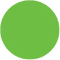 Bright Green 333