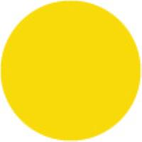 Cadmium Yellow Pale Hue
