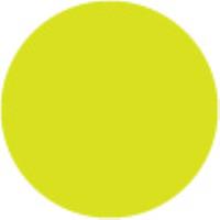 205 Cadmium Yellow Lemon