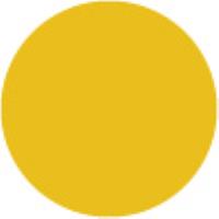 Cadmium Yellow Medium Hue