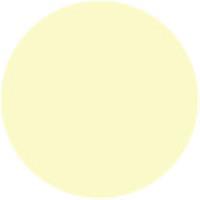 Cream Yellow 42