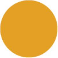 Dark Yellow YR31