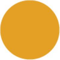 Dark Yellow