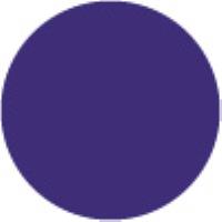 Eggplant BV739