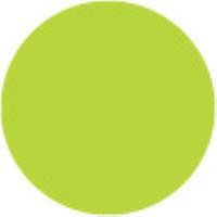 Neon Green 365 
