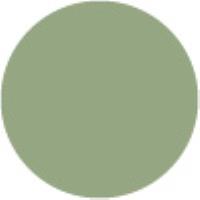 Grayish Olive Green GY233*