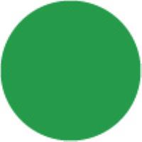 Christmas Green