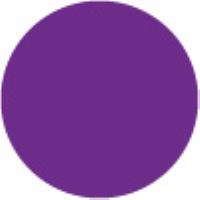 Light Violet P82