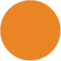 Marigold YR24