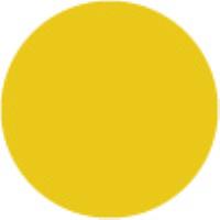 Mustard Y627