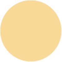 Pale Orange 16