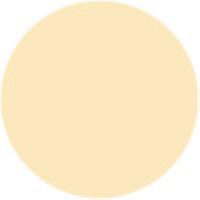 Raw Silk BR134