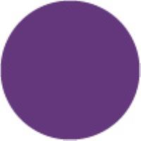 Violet P281*