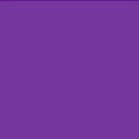 Violet 251
