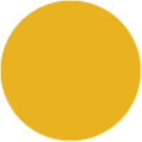 Vivid Yellow Y616