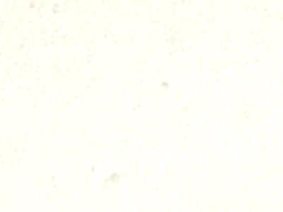 CRF0938