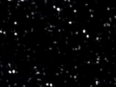 CRF0949