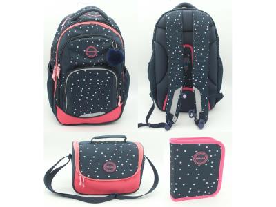BAG0319