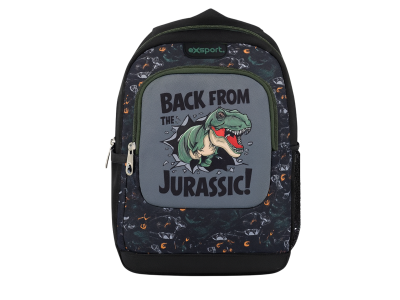BAG0361