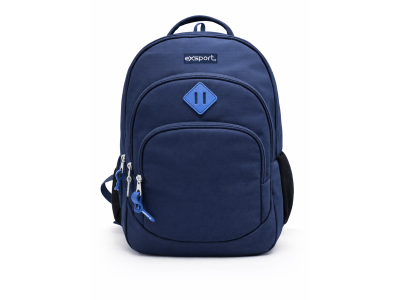 BAG0333