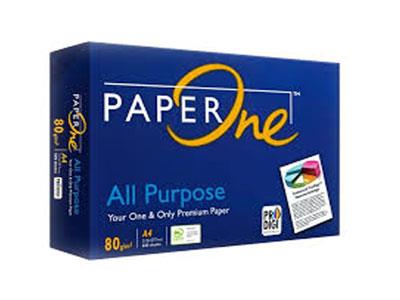 PAP0008